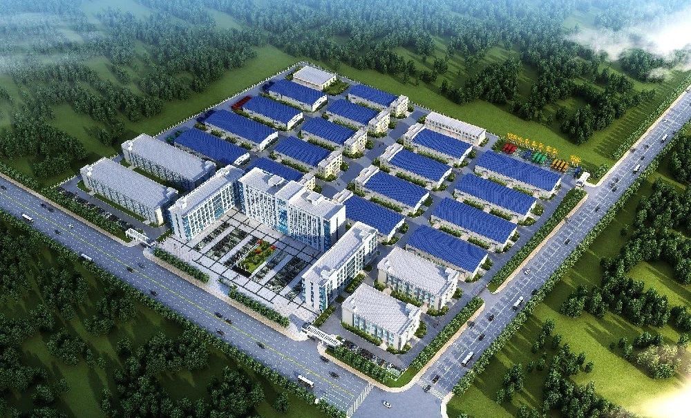 1763630063888794.jpg 2507034.jpg