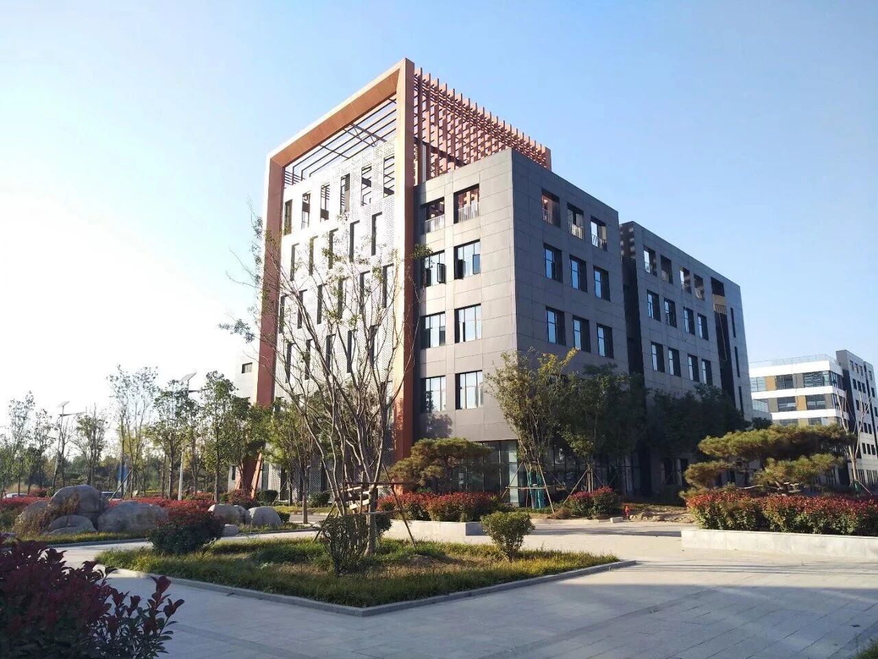 1764745112182188.jpg 2512035.jpg