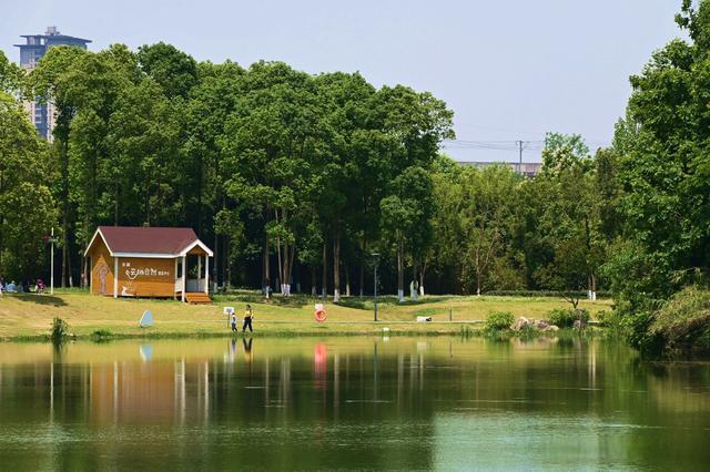 成都北湖公園展現(xiàn)生態(tài)魅力與休閑新風尚的最新動態(tài)報道