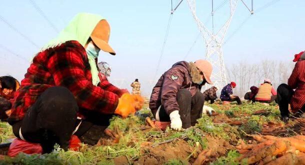 菏澤地震最新消息更新，今日動態報告